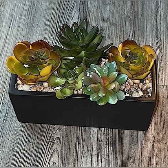 World Market Faux Succulent Arrangement In Ceramic Box-Like New - Picture 3 of 12